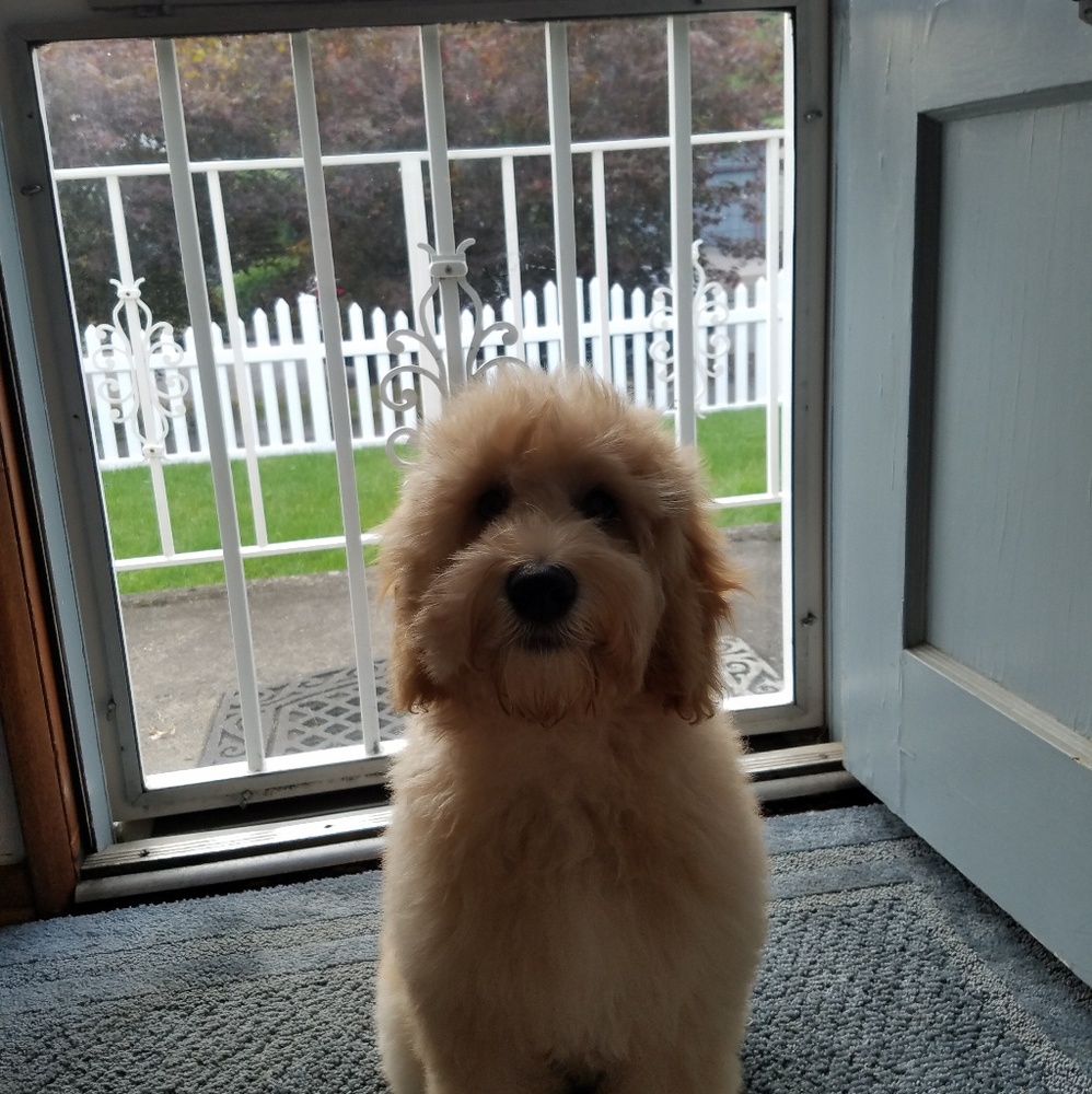 Meet your Posher, Jennifer